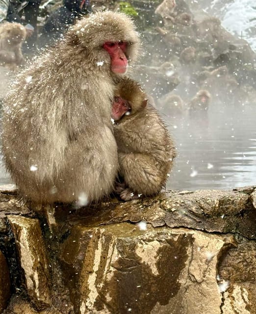 Private Snow Monkey Zenkoji Temple Sightseeing Day Tour - Just The Basics