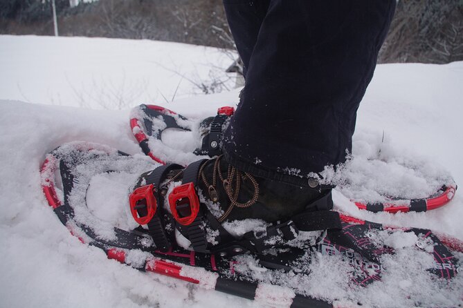 Private Snowshoeing Tour in Hida - Key Takeaways