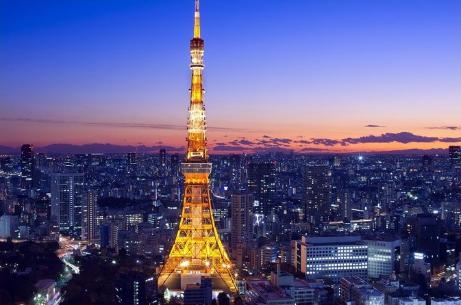 Private Tesla Car Tour of Tokyos Best Sights - Half-Day - Just The Basics