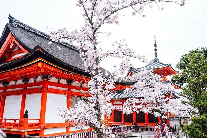 Private & Unique Kyoto Cherry Blossom "Sakura" Experience - Key Takeaways