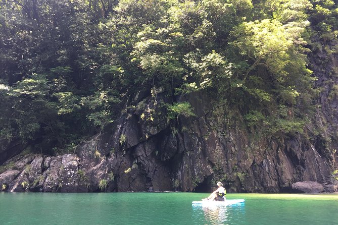 [Recommended on Arrival Date or Before Leaving!] Relaxing and Refreshing Water Walk on the Awakawa River by Stand-Up Paddleboard (Sup) - Key Takeaways