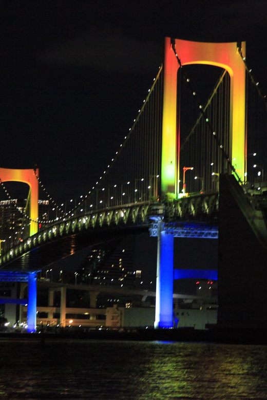 Relaxed Tokyo Bay Cruise Enjoy Your Own Food & Drinks at Sea - Just The Basics