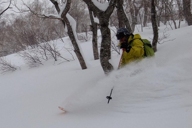 Ski Lesson Around KARUIZAWA - Key Takeaways