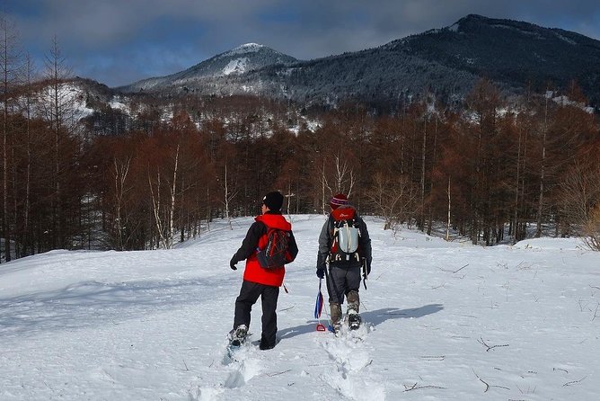 Snow Mountain Hiking to Enjoy With Family! Ice Cream Making Snowshoe - Key Takeaways