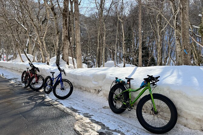 Snowbike Tour in Tazawako - Key Takeaways