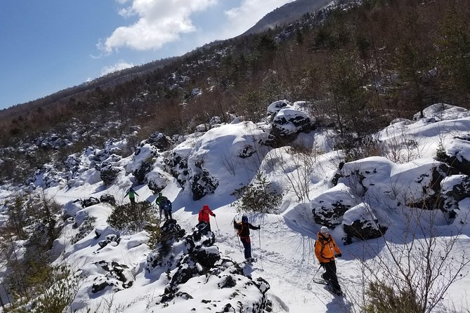 Snowshoeing at the Foot of Mount Asama in Karuizawa - Key Takeaways