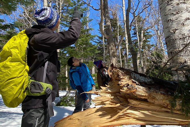 Snowshoeing in the Virgin Forest - Key Takeaways