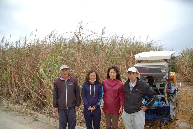 Sugarcane Cutting Experience With Okinawas Grandfather - Key Takeaways