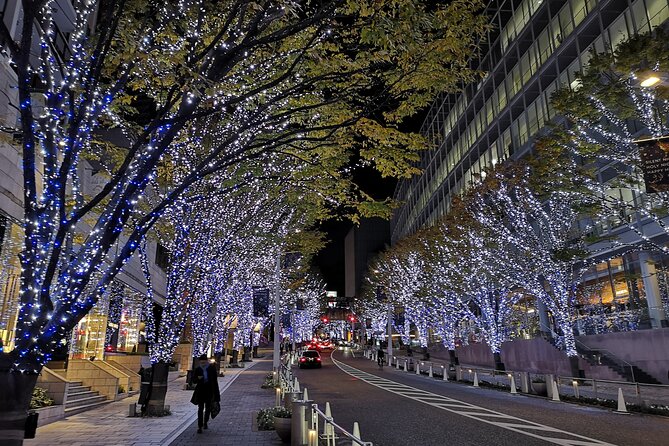 Tokyo Christmas Tour With a Local Guide: Private & Tailored to You - Just The Basics