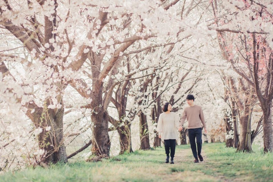 Tokyo: Private Cherry Blossom Photoshoot - Key Takeaways