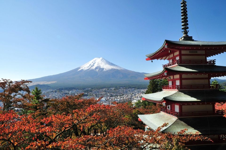 Tokyo: Private Sightseeing Day Trip to Mount Fuji and Hakone - Just The Basics