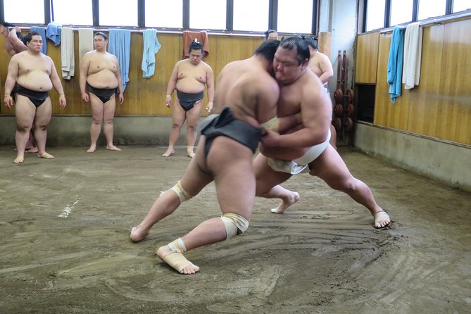 Tokyo Sumo Morning Practice Tour in Ryogoku - Just The Basics