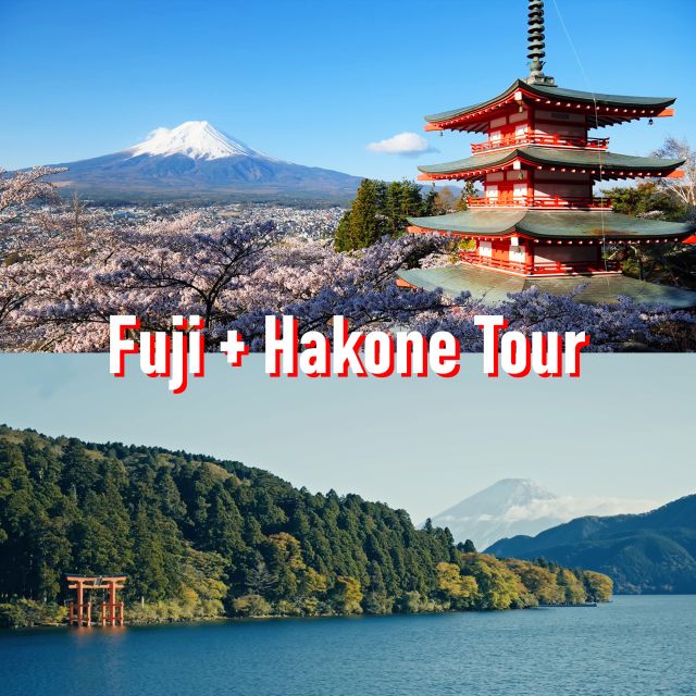 Tokyo to Mount Fuji and Hakone: Private Full-Day Tour - Just The Basics