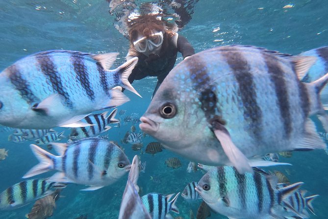 Two-Hour Group Snorkeling Trip to the Blue Cave 2024 - Onna-son - Key Takeaways