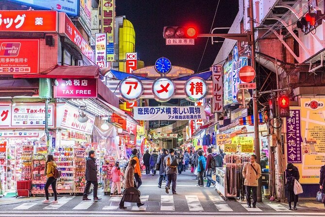 Walking Tour in Tokyo With a Local Guide - Just The Basics