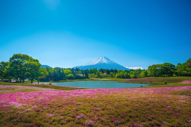 Yamanashi Beyond Mt. Fuji - Key Takeaways