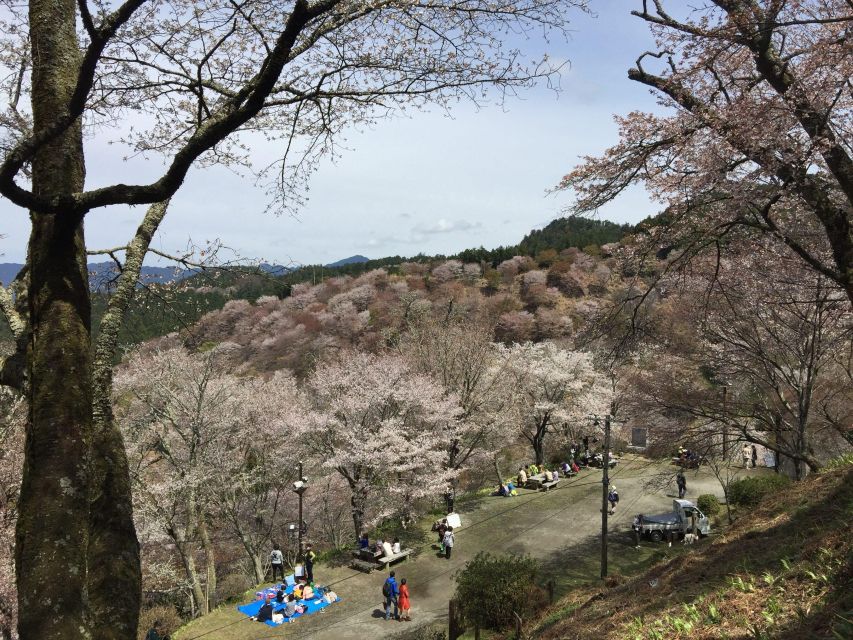 Yoshino: Private Guided Tour & Hiking in a Japanese Mountain - Just The Basics